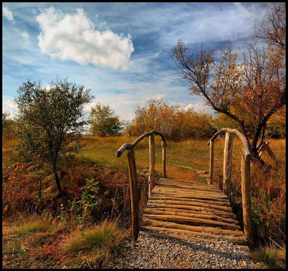 ***. Автор: Петриченко Валерий мостик, осень, Петриченко Валерий