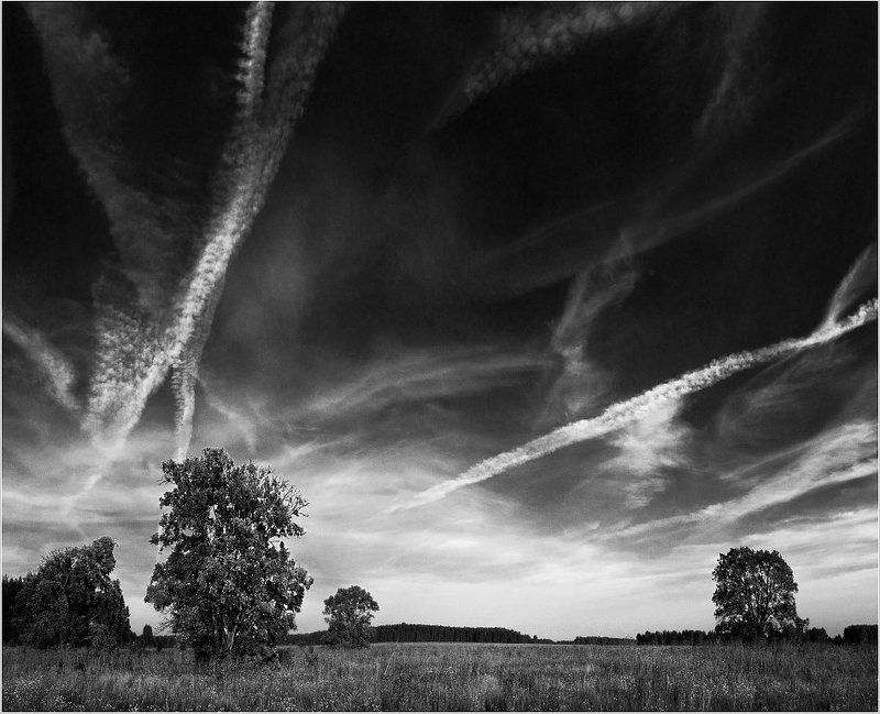 **** фото превью