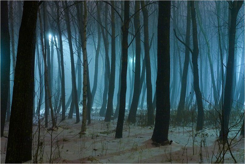 туман, вечер, осень ...photo preview