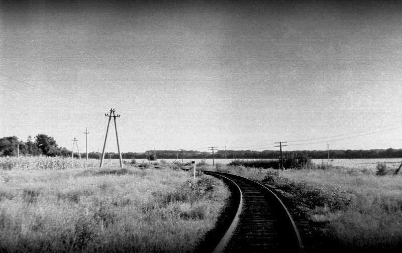 never neverlandphoto preview