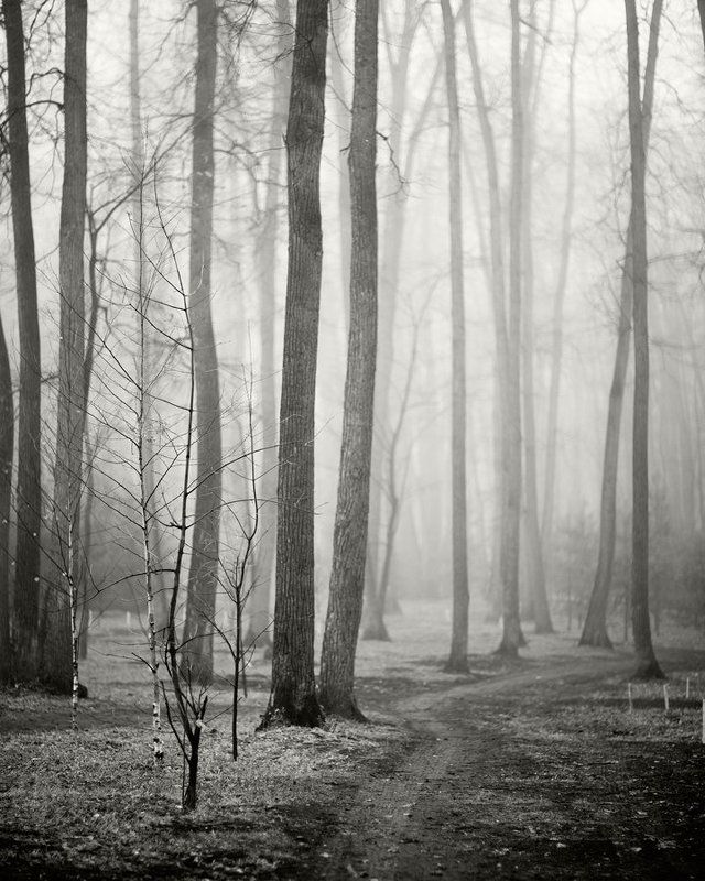 Осеньphoto preview