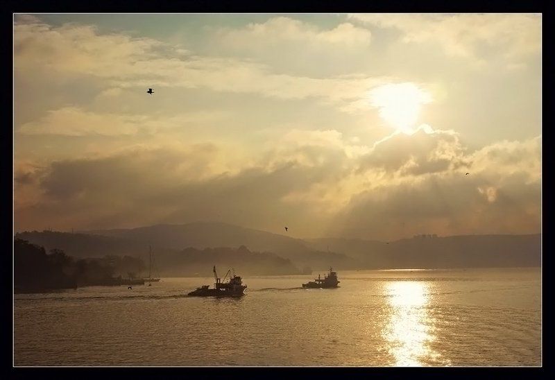 раcсвет Босфораphoto preview