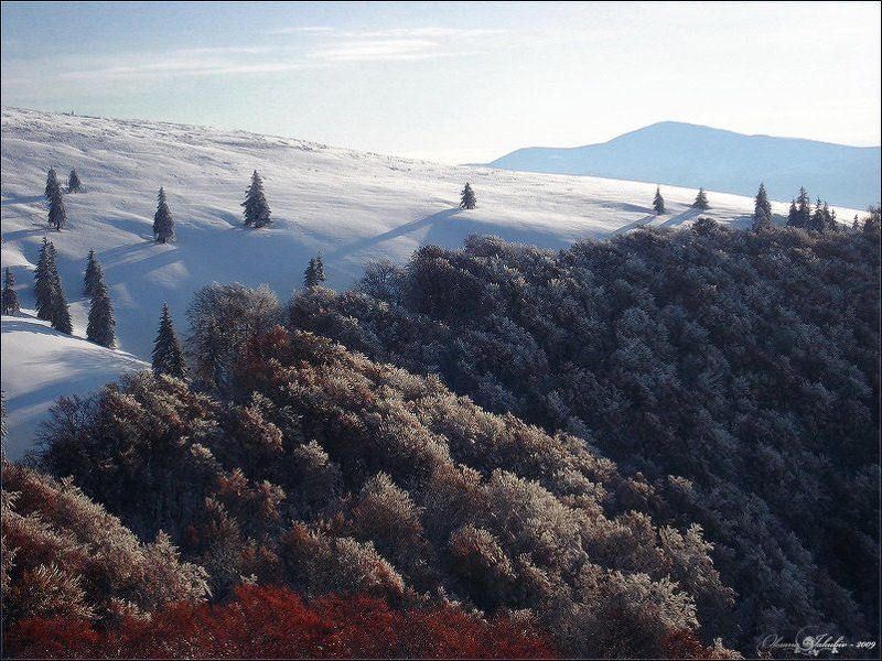 карпаты Golden Autumnphoto preview