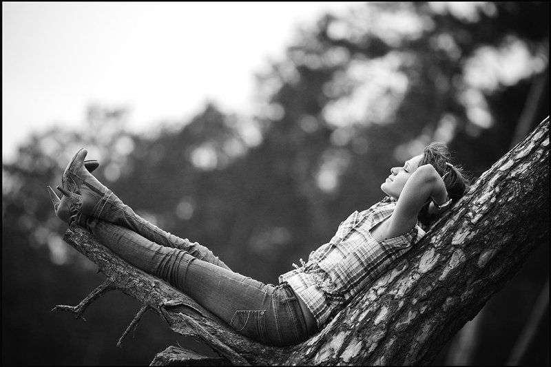 лес, гамак, портрет Лесной гамакphoto preview