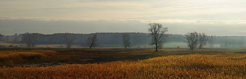 пейзаж, природа, зауралье Осеннее утроphoto preview