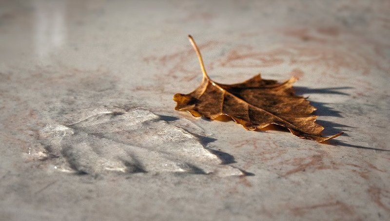 Осенне-зимний переходphoto preview