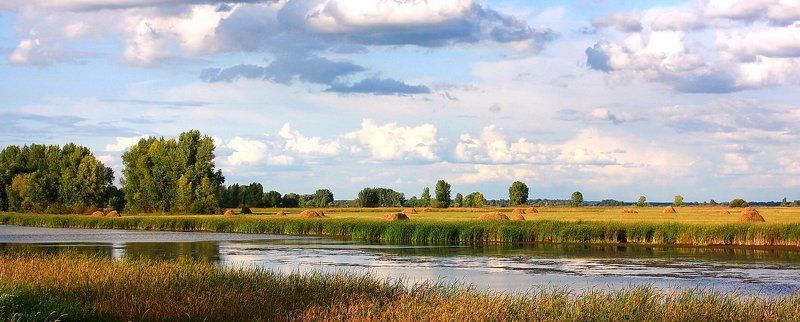 речка, лето, стога, лес У речки.photo preview