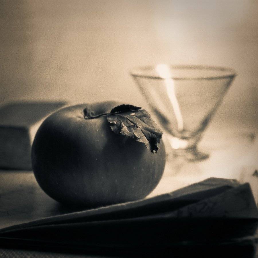 , Игорь Филипенко