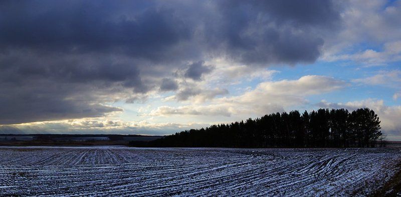 природа, зауралье, пейзаж, первый, снег, поле, лес, облака Первый снегphoto preview