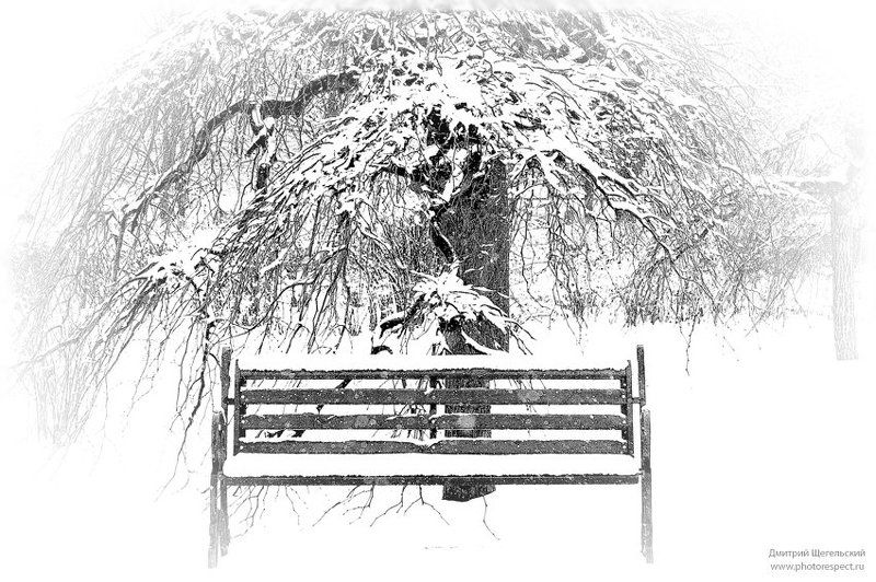 снег, скамейка, дерево Снег идет...photo preview