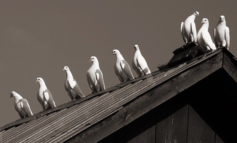 конкурс красотыphoto preview