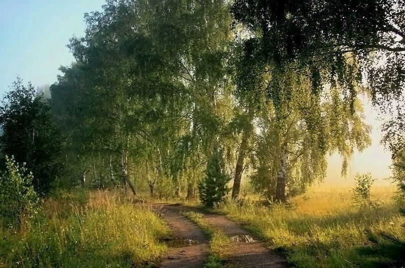 Прогоняя ночьphoto preview