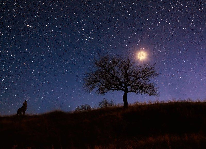 Просторы ночиphoto preview