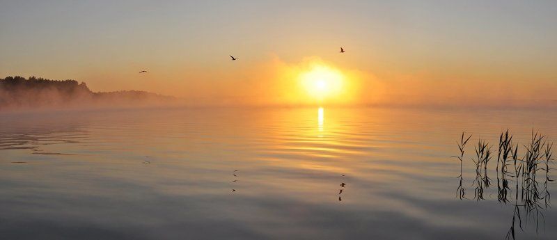 рассвет, утро, пробуждение, озеро, птицы, солнце, вода, восход Пробуждениеphoto preview