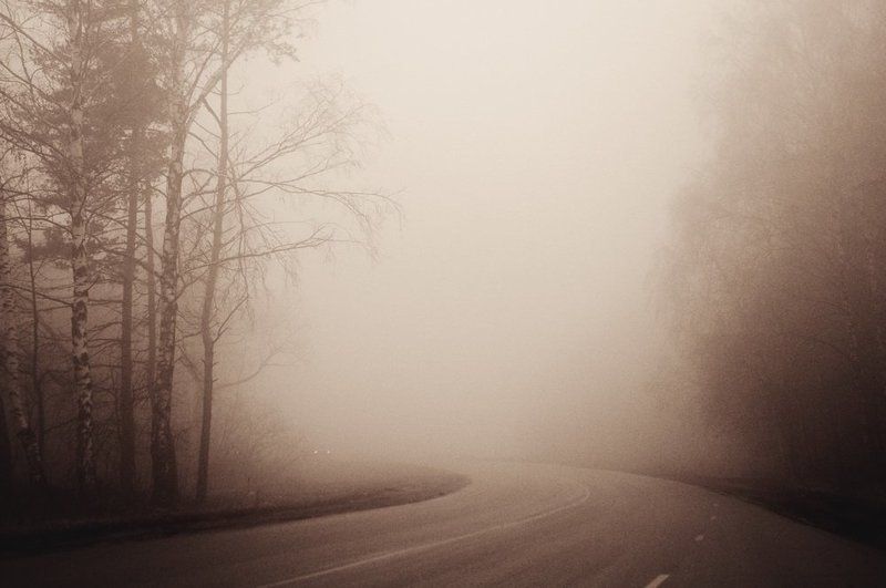дорога, туман По дороге в туманphoto preview
