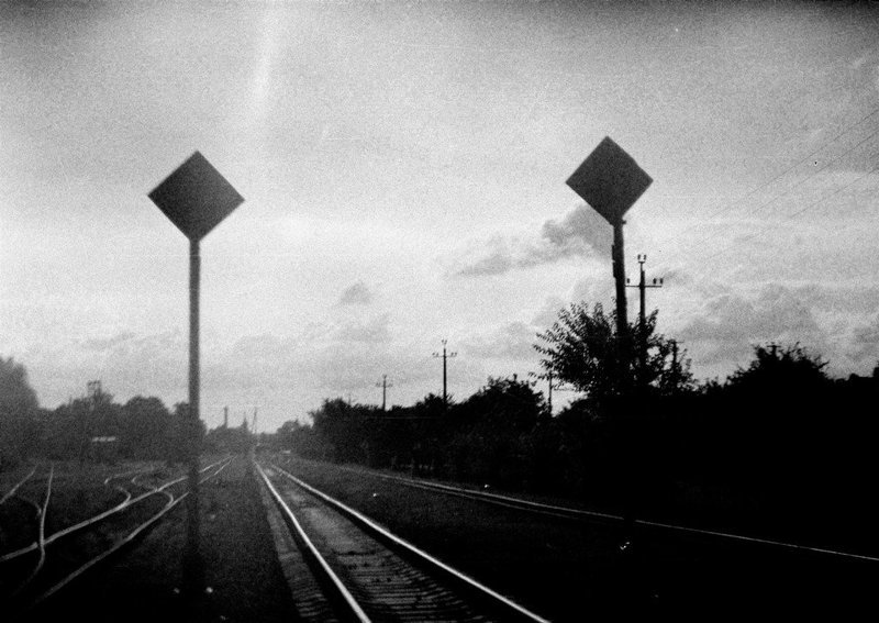 never neverlandphoto preview