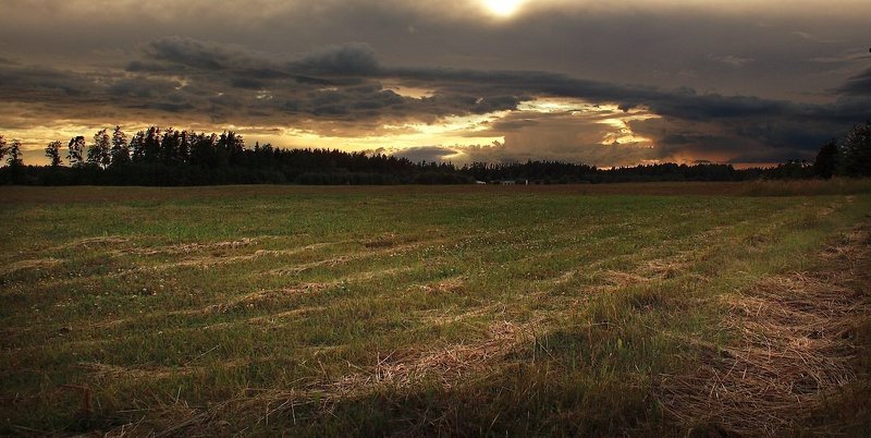 volchji sumerki...photo preview