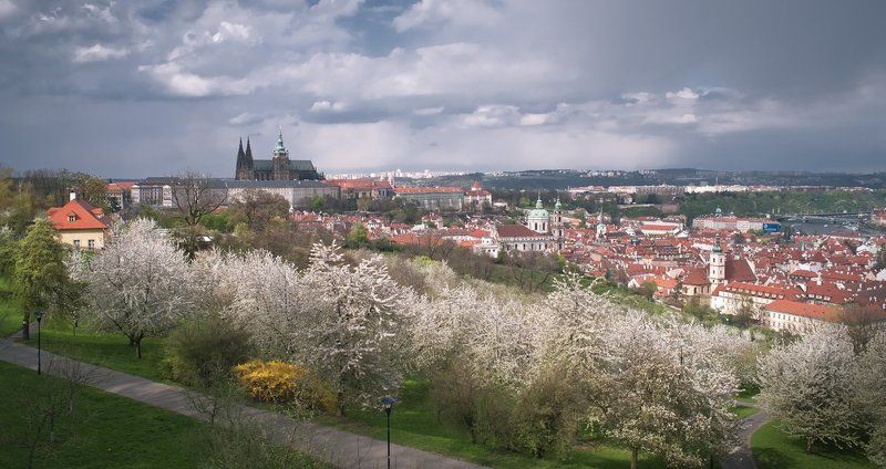 чехия,прага,весна,панорама Прага весенняяphoto preview