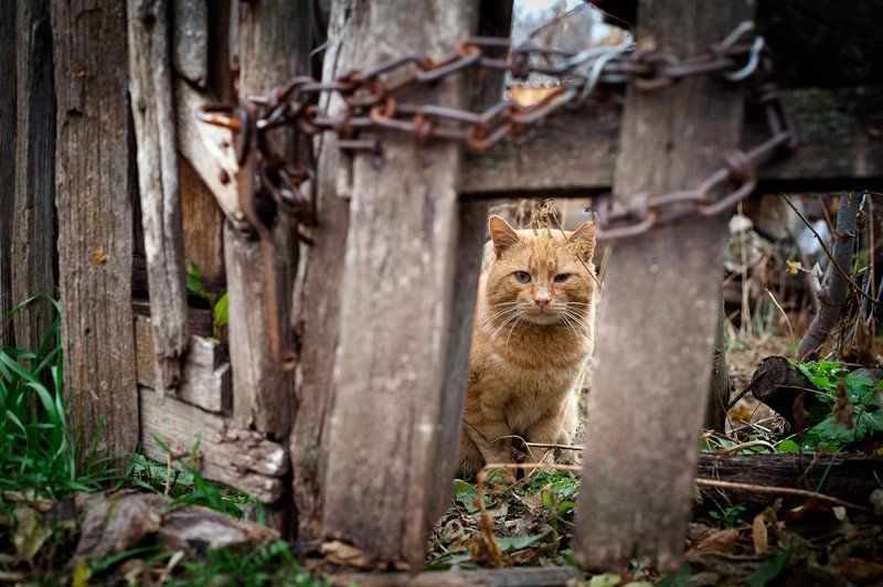 заключённыйphoto preview