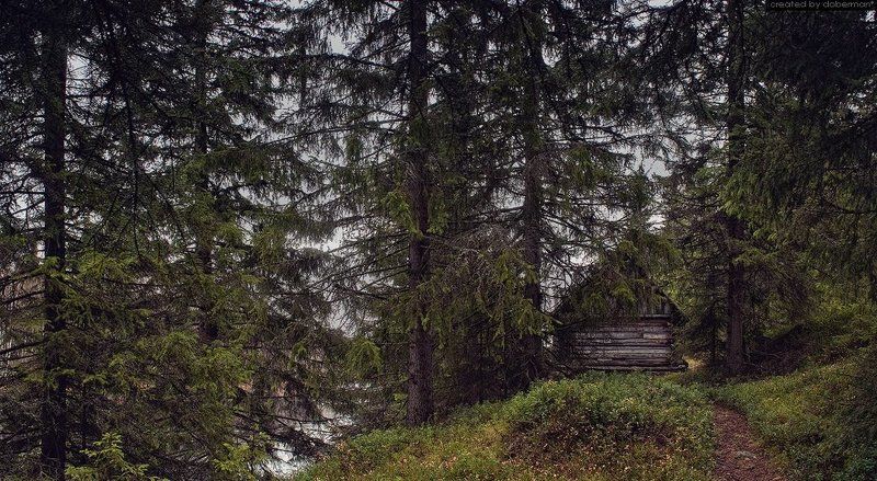 карелия, лес, хижина, старый дом ***photo preview