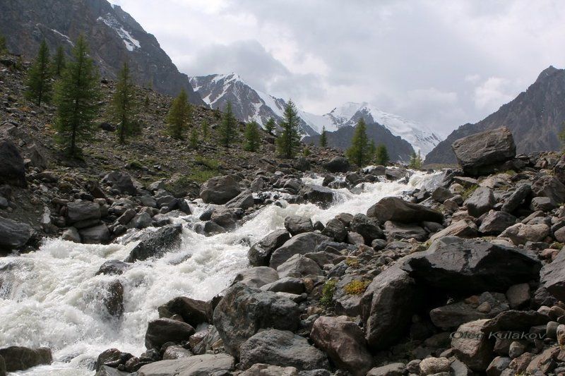 ущелье актру,горный алтай,горы В ущелье Актру.photo preview