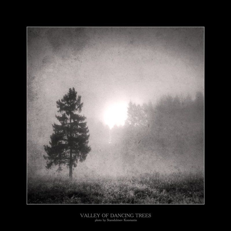 Valley of dancing trees... 4photo preview