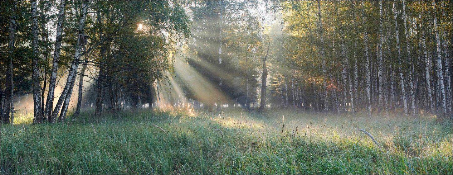 Утреннее сияние #2. Автор: Вадим Никифоров утреннее, сияние, #2, Вадим Никифоров