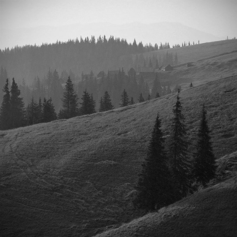 карпаты, природа, пейзаж, лето, чб, панорама, горы под вечерphoto preview