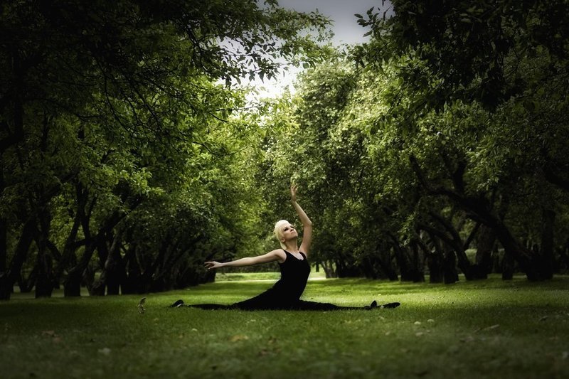 Чёрный лебедьphoto preview