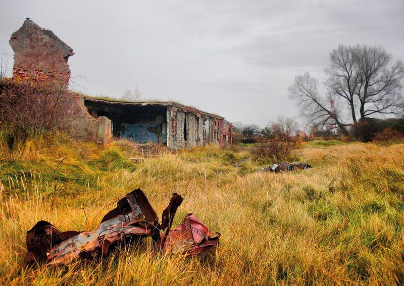 Колхоз - дело добровольноеphoto preview