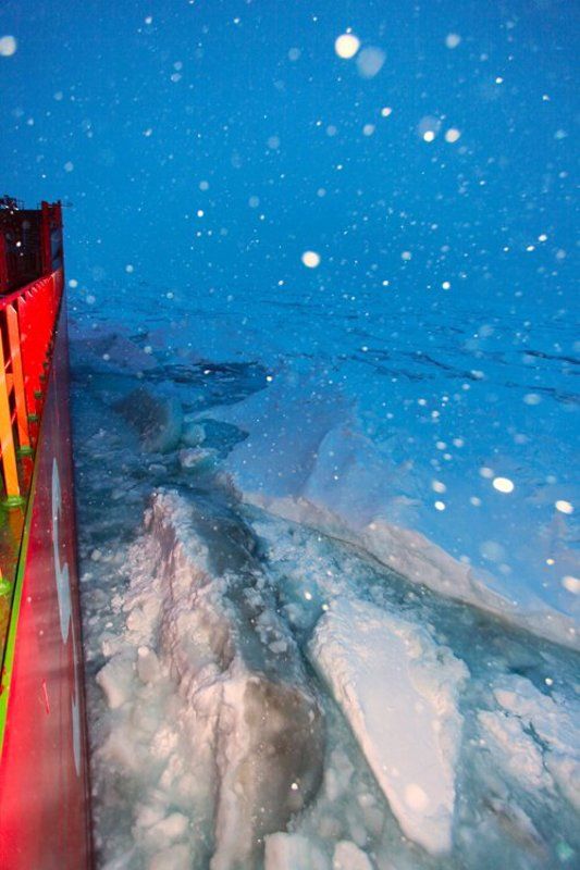 льды, карское море, надежда ЧТО ЛЬДЫ ДАВИТЬ, ЧТО ТАК ИДТИphoto preview