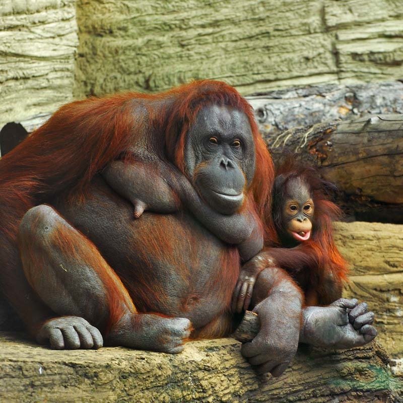 счастливы вместеphoto preview