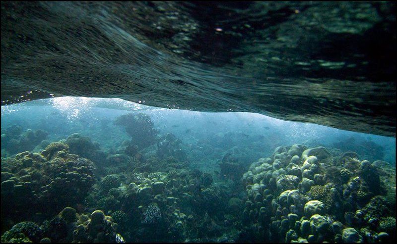 Волнаphoto preview