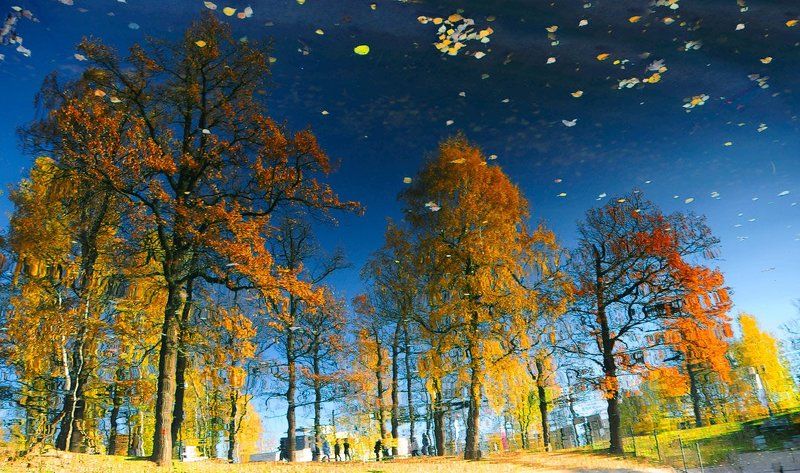 Отражение Осени.photo preview