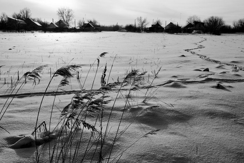 край светаphoto preview