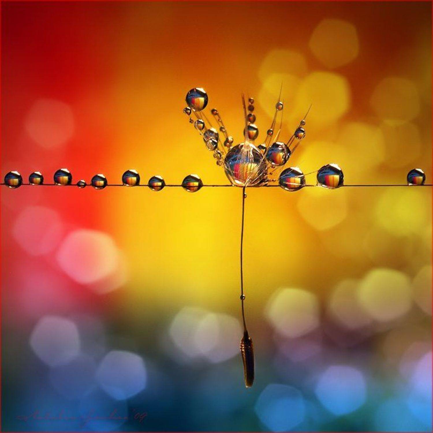 drop, water, air, капля, вода, воздух, natalia, jeshoa art-macro, Natalia Jeshoa