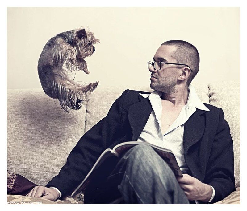 йорк, парень ***photo preview