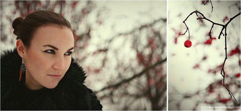 blackbird, черный, дрозд, девушка, птица, ягодка, зима BLACKBIRD фото превью