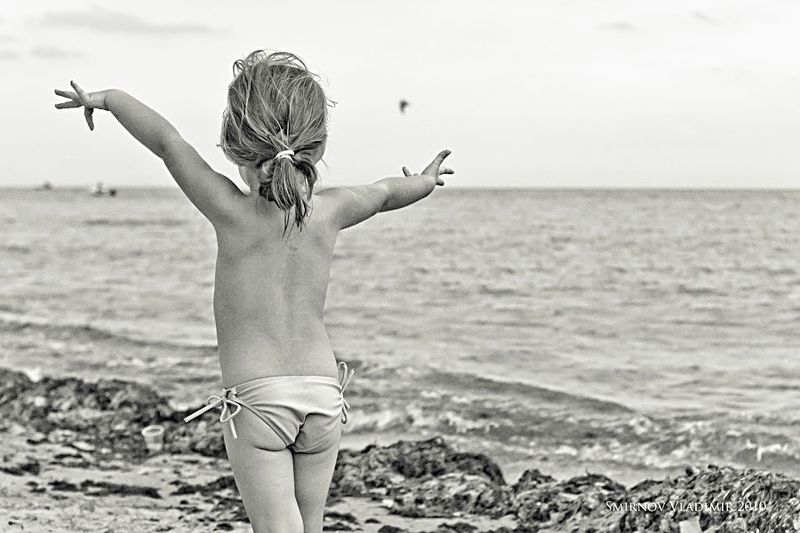 Чайкаphoto preview