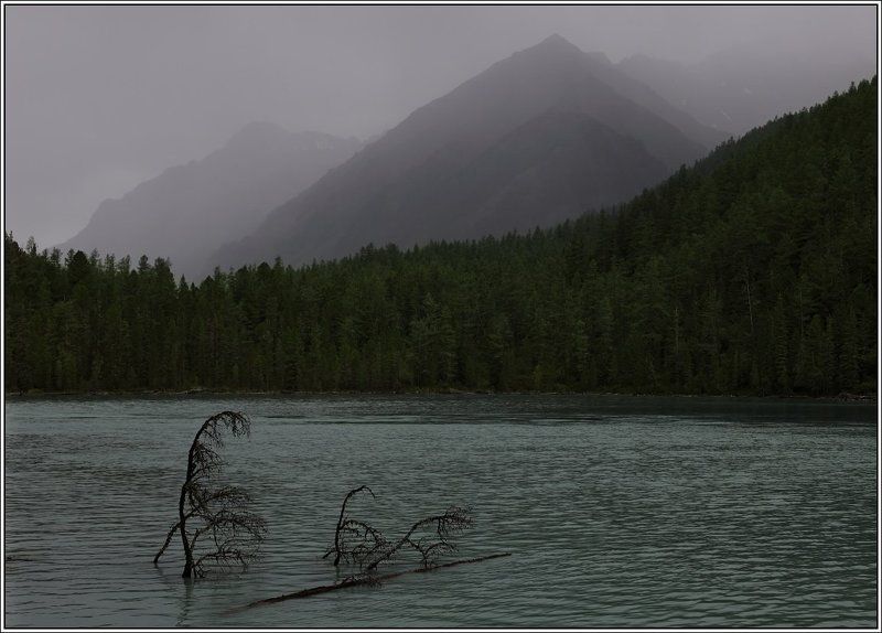 алтай, кучерлинское, озеро, горы В горах дожди, в горах седое небоphoto preview