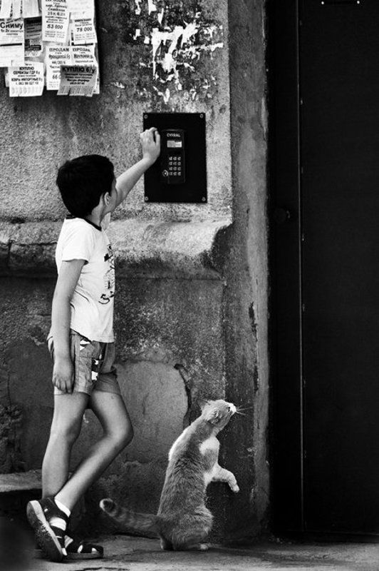 На обедphoto preview