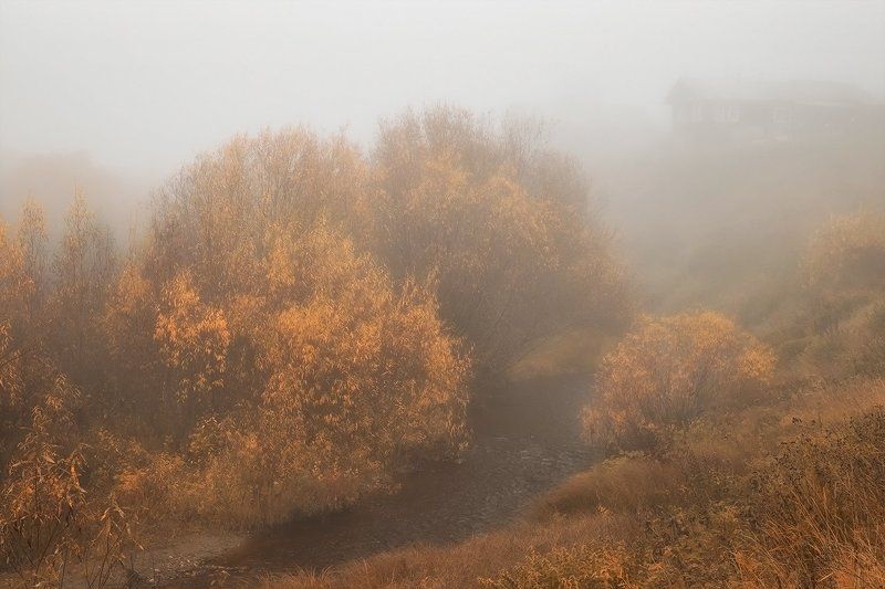 ********photo preview