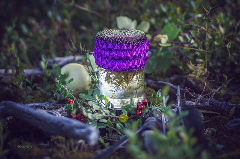 тропа, лес, болото,ведьма По тропе лесной ведьмыphoto preview