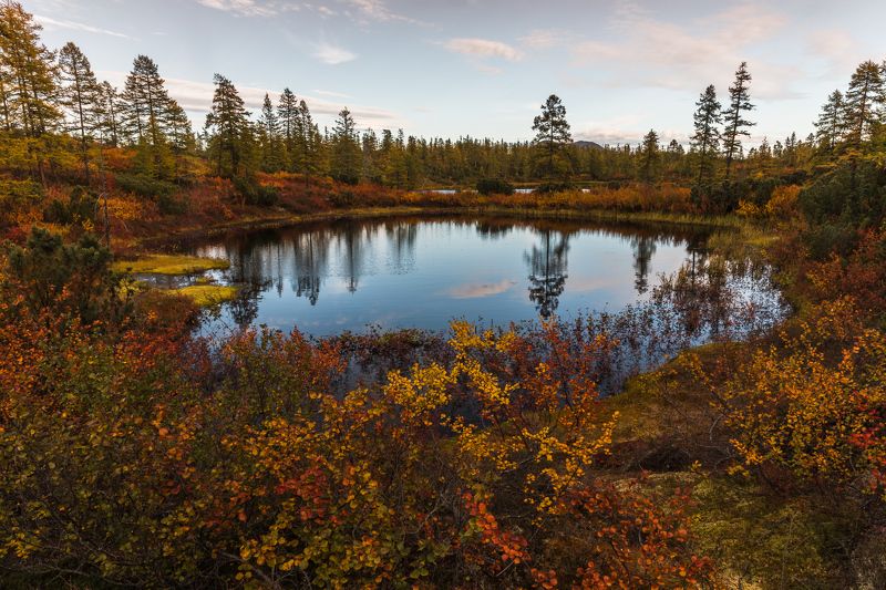 колыма, россия, магаданская, джека лондона, озеро, стоозерка, осень Потерянное зеркалоphoto preview