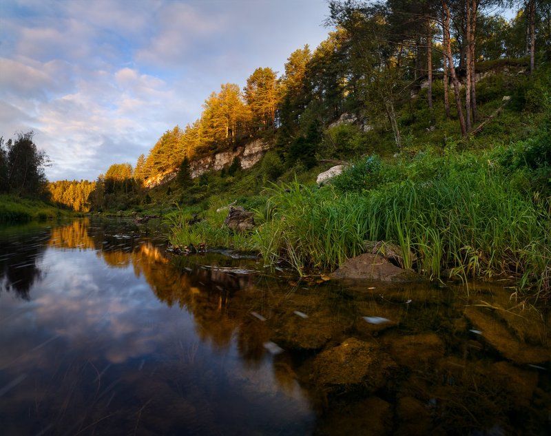 пейзаж, пейзажная съемка, утро, осень, свежесть,сентябрь, никон, landscape, morning, Пришла осенняя пораphoto preview