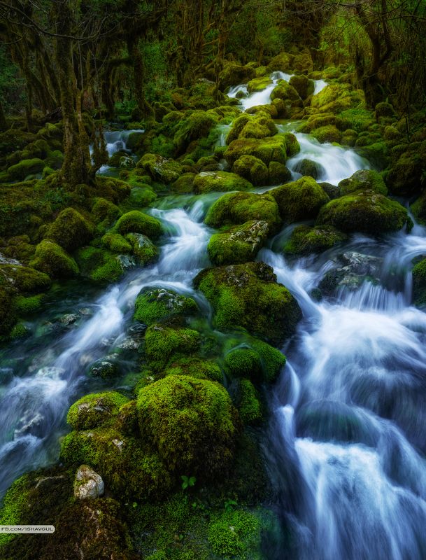 Грузия, Самегрело, Водопад, Весна, Мох, Река, Длинная выдержка, Панорама Шурубумуphoto preview