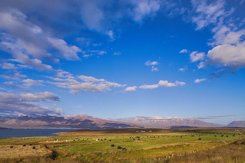 пейзаж, исландия, природа, путешествие, пастораль, лето,  iceland, landscape, trip, traveling Пасторальphoto preview