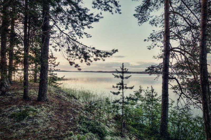 Вечер на озере Мярандукса #2photo preview