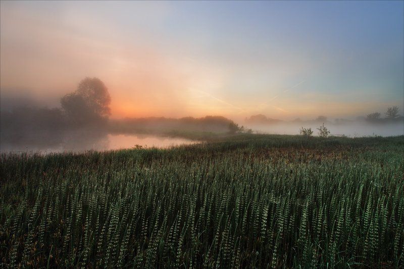 утро туман река днепр Утро на Днепре.photo preview