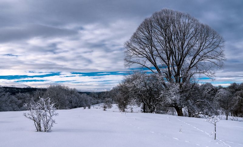 Скоро-скоро на луга...photo preview